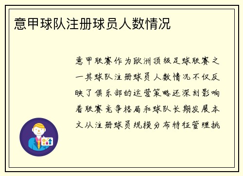 意甲球队注册球员人数情况